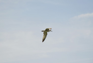 Similar image 22285714