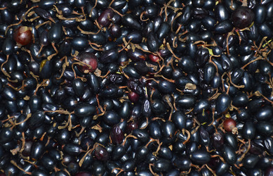 Similar image 22285715