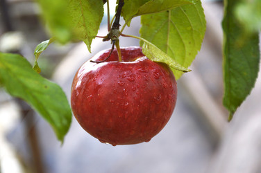 Similar image 22285907