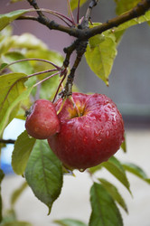 Similar image 22285908