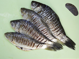 Similar image 22285911