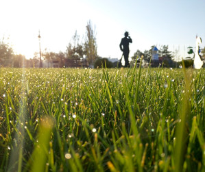 Similar image 22285914