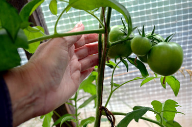 Similar image 22285921