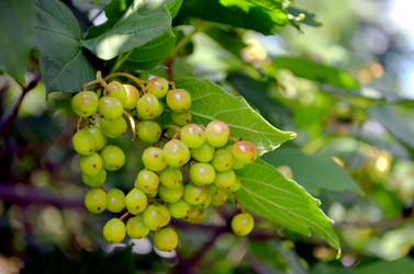 Similar image 22285922