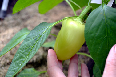 Similar image 22285923