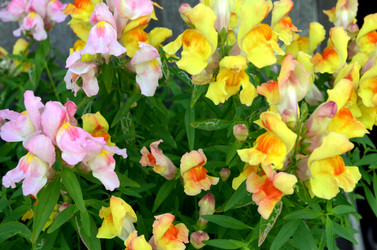 Similar image 22285924