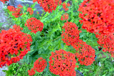 Similar image 22285925