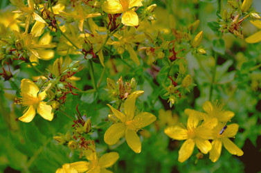 Similar image 22285929