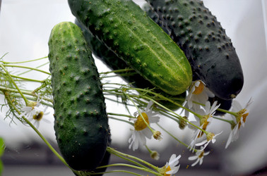 Similar image 22285930