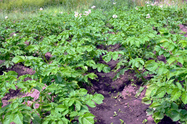 Similar image 22285931