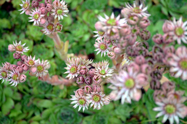 Similar image 22285932