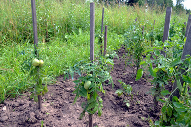 Similar image 22285933