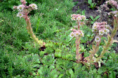 Similar image 22285934