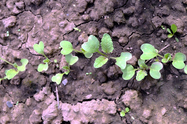 Similar image 22285935