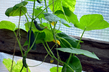 Similar image 22285936