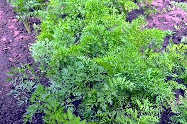 Similar image 22285937