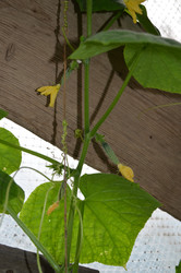 Similar image 22285938