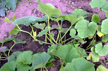 Similar image 22285939