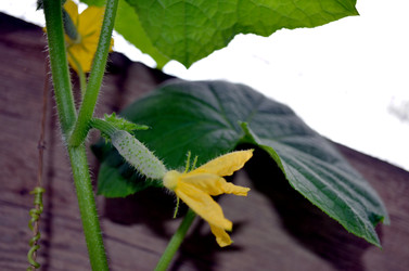 Similar image 22285940