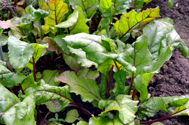 Similar image 22285941