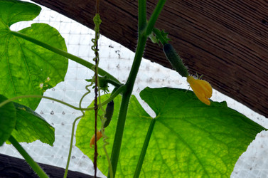 Similar image 22285942