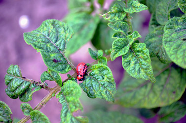 Similar image 22285944