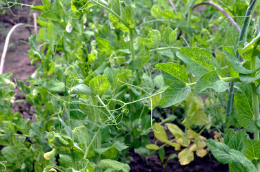 Similar image 22285945