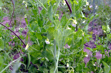 Similar image 22285946