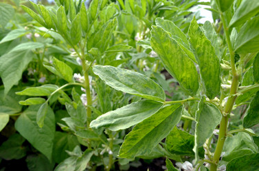 Similar image 22285947