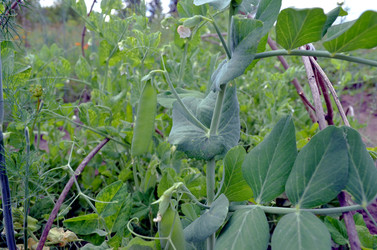 Similar image 22285948