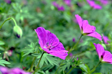 Similar image 22285949