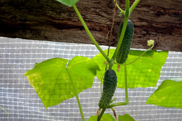 Similar image 22285950