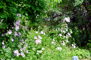 Similar image 22285951