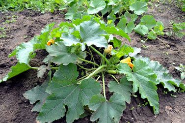 Similar image 22285952