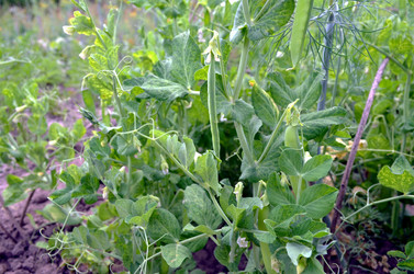 Similar image 22285953