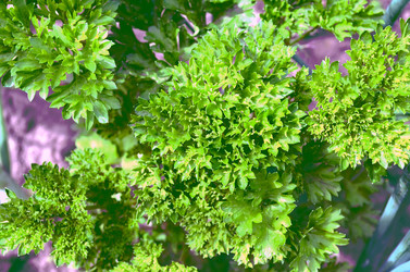 Similar image 22285954