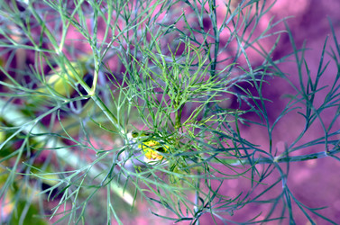 Similar image 22285956