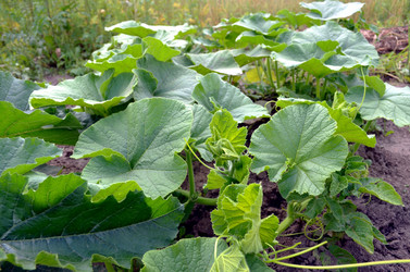 Similar image 22285957