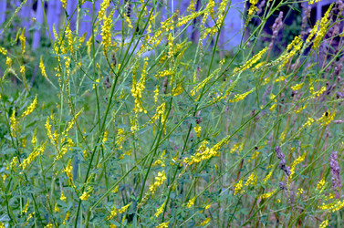 Similar image 22285958