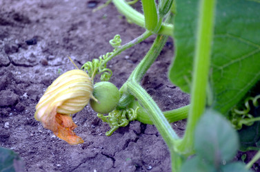 Similar image 22285959