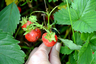 Similar image 22285960