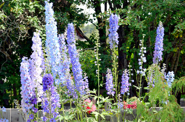 Similar image 22285961