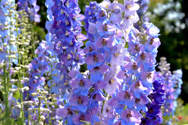 Similar image 22285962