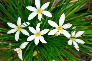 Similar image 22285963