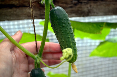 Similar image 22285964