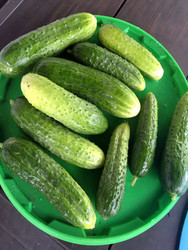 Similar image 22285717