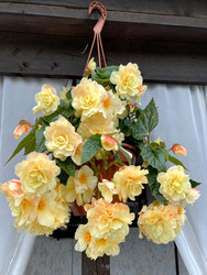 Similar image 22285721