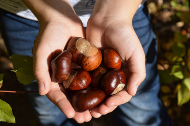 Similar image 22287811