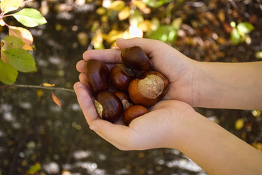 Similar image 22287812