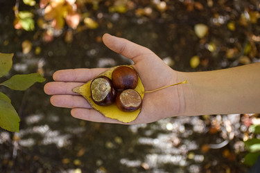 Similar image 22287813